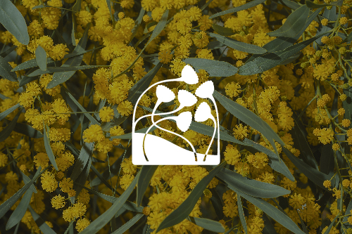 Logo ziołowa odnowa